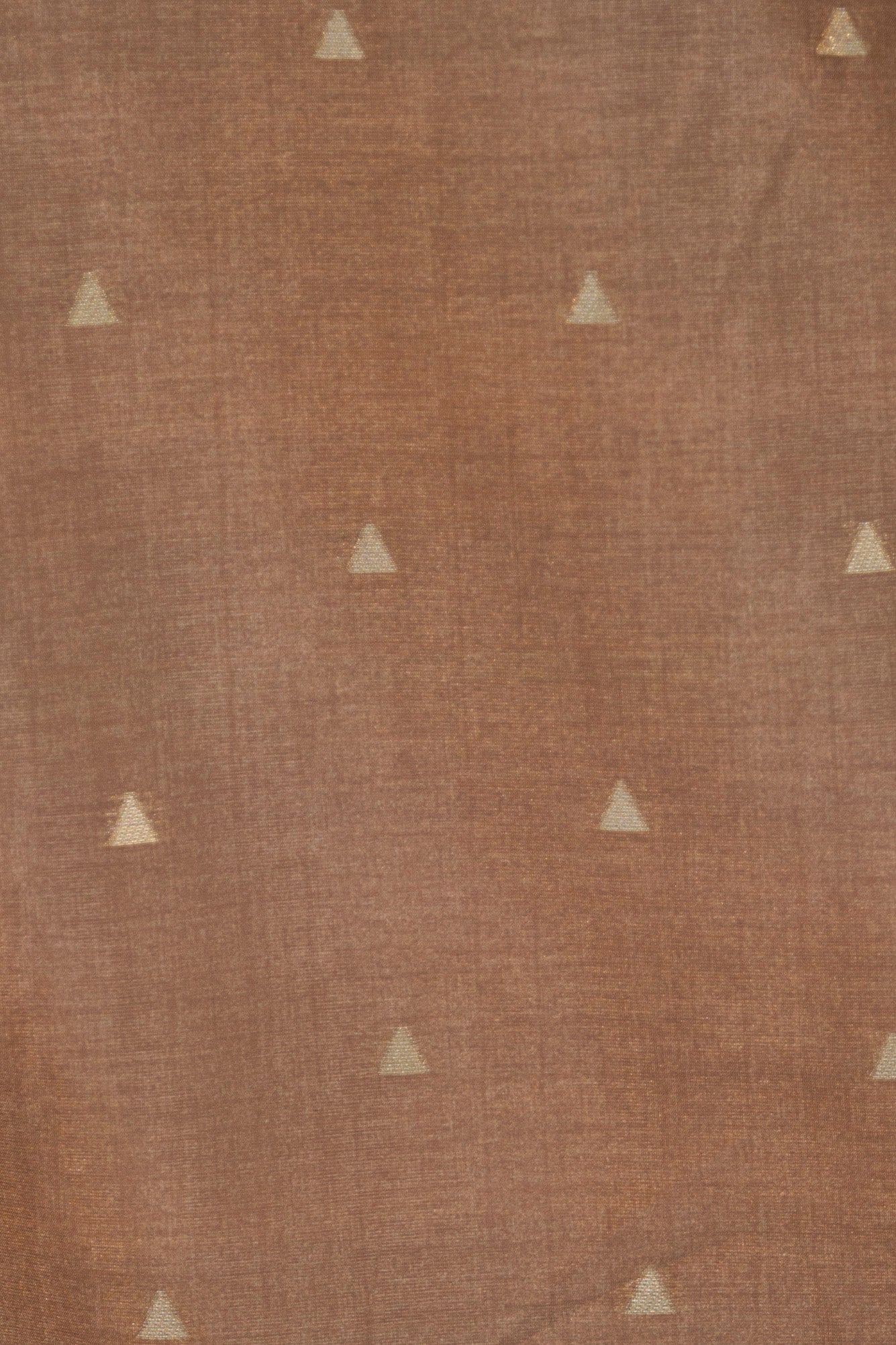 Fushcia Pink Banarasi Raw Silk Saree in Zari Abstract design all over body and palla with contrast Palla and blouse