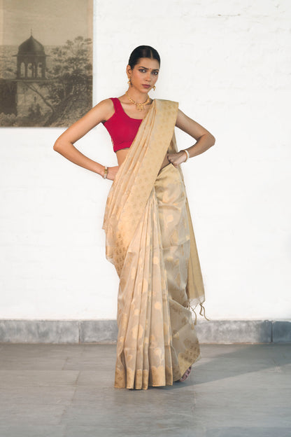 Golden Tissue Saree woven in Floral Motifs paired with scallop style border and rich palla